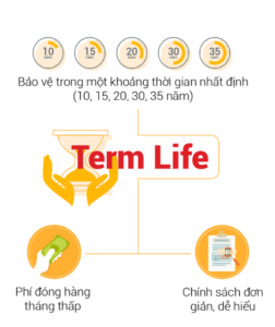 term-life-bao-hiem-ky-han
