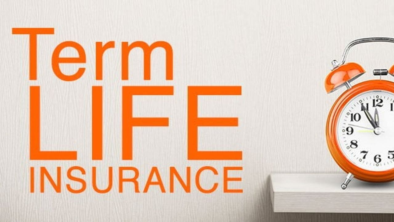 What is Term Life Insurance? How much does Term Life Insurance cost?