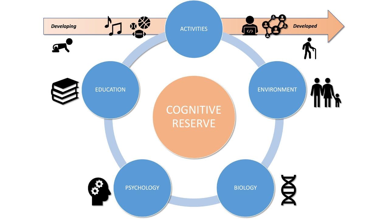 Chỉ số IQ trung bình là bao nhiêu? Cách đo lường chỉ số IQ. What is the Average IQ? How to Measure IQ